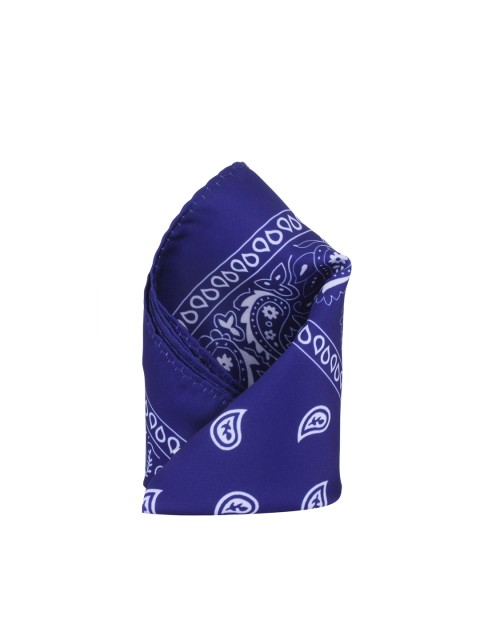 

Alvaro Castagnino Blue Printed Pocket Square