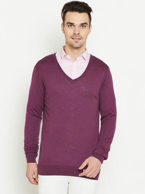 

Blackberrys Men Purple Solid Sweater