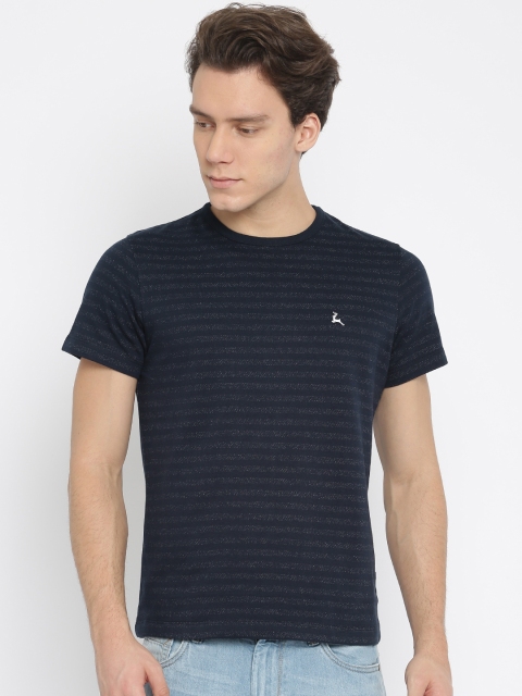 

Parx Men Navy Striped Round Neck T-shirt, Navy blue