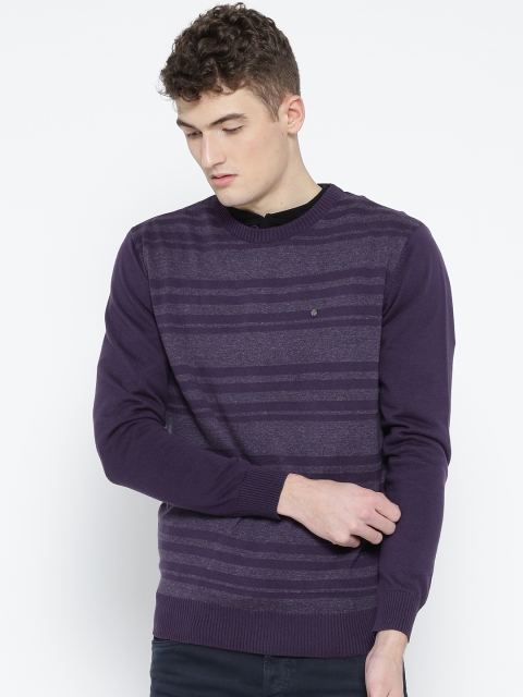 

Blackberrys Men Purple Striped Sweater