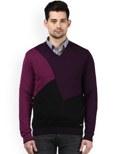 

Park Avenue Men Purple Colourblocked Pullover