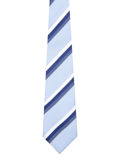 

Tossido Blue Striped Skinny Tie