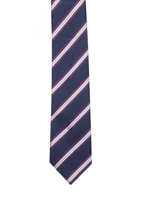 

Tossido Blue Striped Skinny Tie