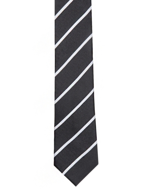 

Tossido Black Striped Skinny Tie