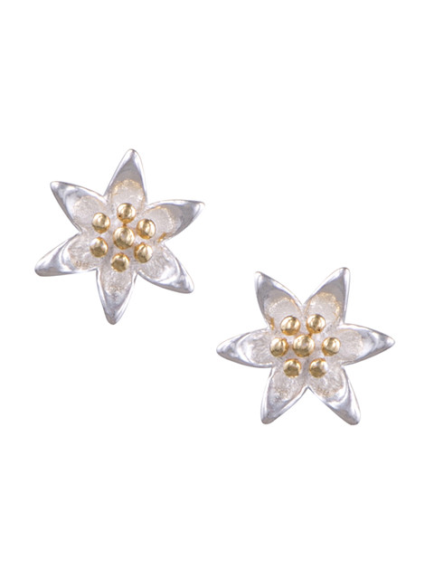 

ahilya Sterling Silver Gold-Toned & Star Shaped Studs