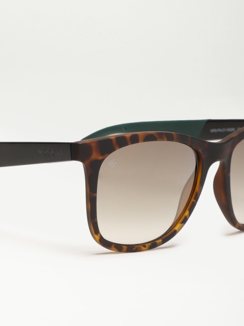 

WROGN Men Wayfarer Sunglasses, Green