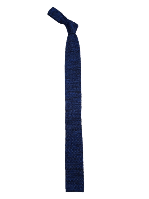 

Alvaro Castagnino Blue Solid Broad Tie