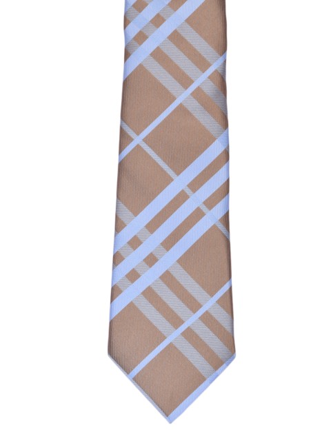 

Alvaro Castagnino Brown & Blue Checked Broad Tie