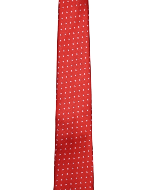 

Alvaro Castagnino Orange & Off-White Printed Broad Tie