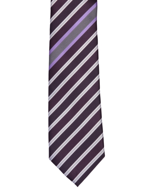 

Alvaro Castagnino Purple & Grey Striped Broad Tie