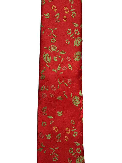 

Alvaro Castagnino Red & Green Printed Broad Tie