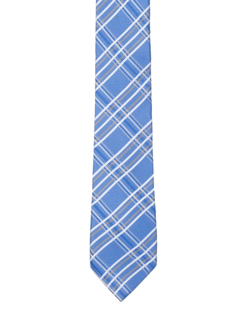 

Tossido Men Blue Checked Skinny Tie