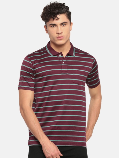 

ColorPlus Men Maroon Striped Polo Collar Pure Cotton T-shirt