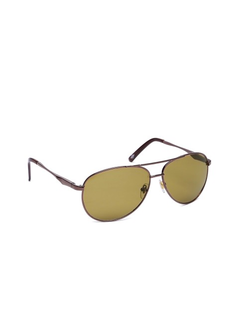 

Roadster Unisex Aviator Sunglasses SUN04839, Brown