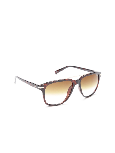 

I DEE Unisex Square Sunglasses EC652, Brown