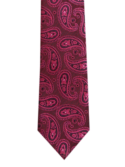 

Alvaro Castagnino Pink & Maroon Printed Skinny Tie