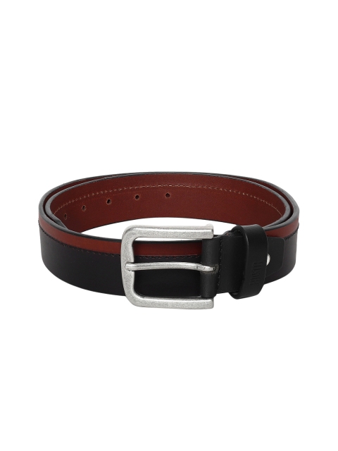 

Roadster Men Brown Colorblocked Belt