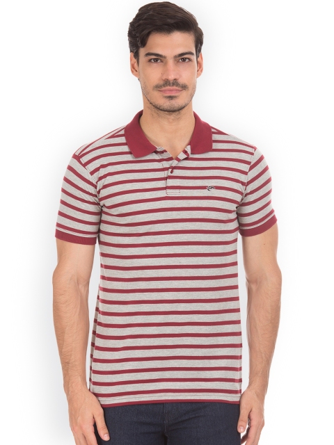 

Ruggers Men Maroon Striped Polo Collar T-shirt