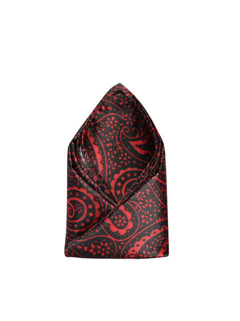 

Alvaro Castagnino Red & Black Printed Pocket Square