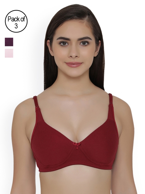

Clovia Pack Of 3 Bra, Maroon