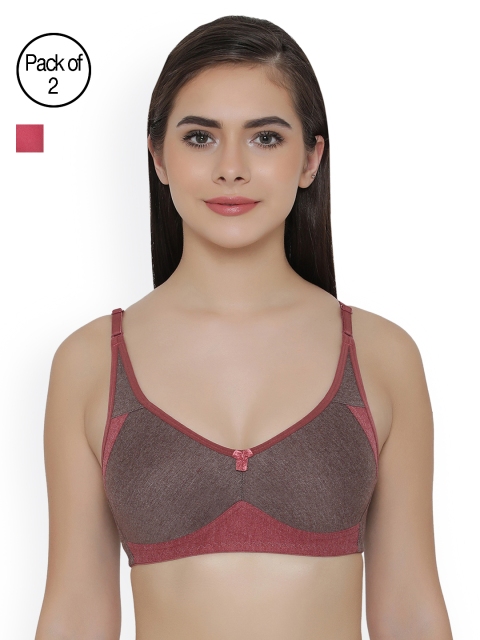 

Clovia Pack Of 2 Bra, Brown