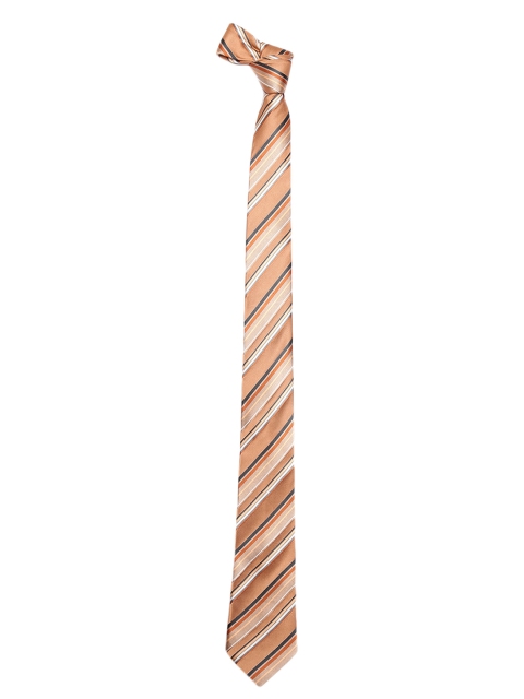 

Alvaro Castagnino Brown Striped Skinny Tie