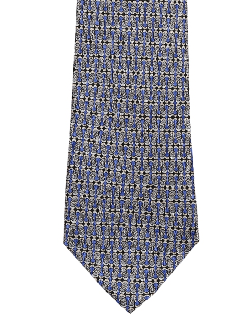 

Alvaro Castagnino Blue & Grey Printed Skinny Tie