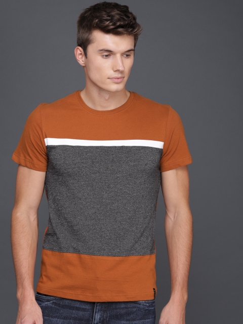 

WROGN Men Brown & Grey Colourblocked Round Neck T-shirt