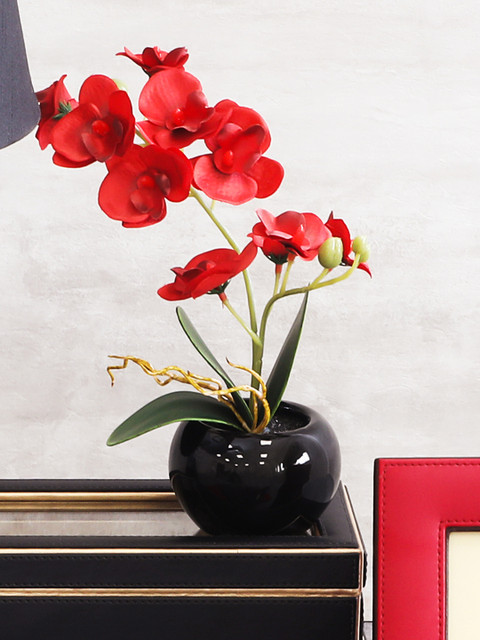 

Pure Home & Living Set of 2 Potted Red Orchids