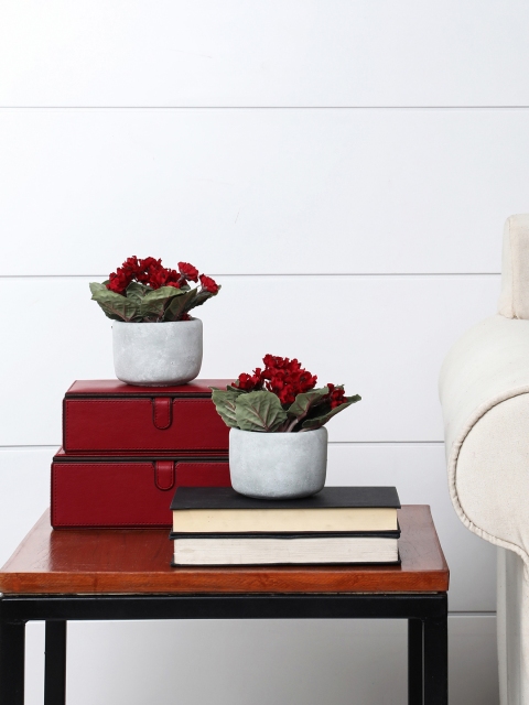 

Pure Home & Living Set of 2 Potted Red Viola