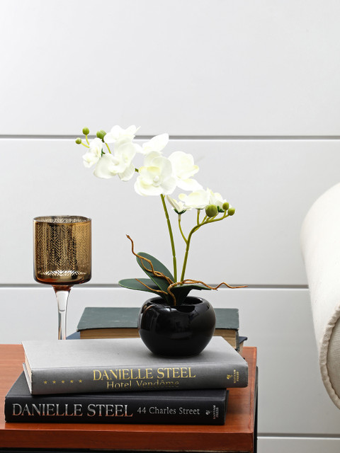 

Pure Home & Living Set of 2 Potted White Orchids Plants