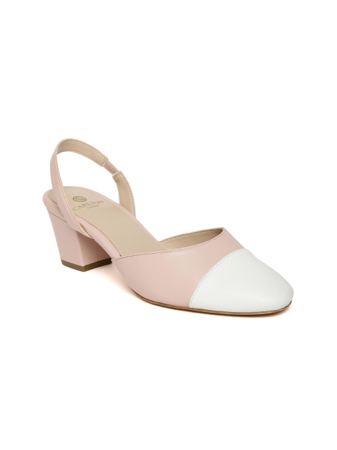 

Carlton London Women Pink & White Colourblocked Leather Pumps
