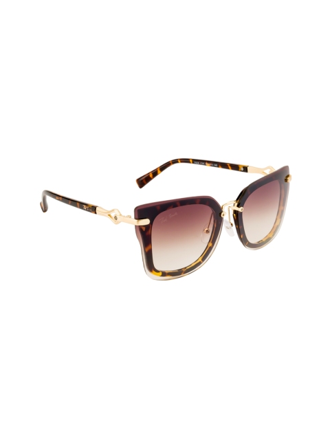 

Ted Smith Women Square Sunglasses TS7928S C25, Brown