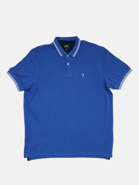

Indian Terrain Men Blue Solid Polo Collar T-shirt
