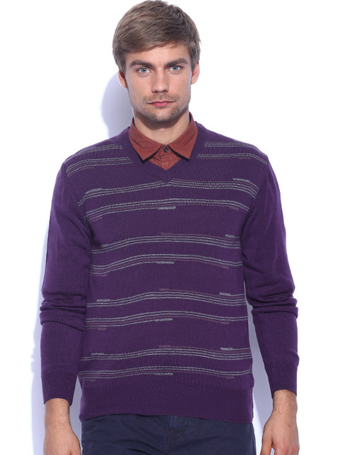 

Arrow Sport Purple Striped Sweater