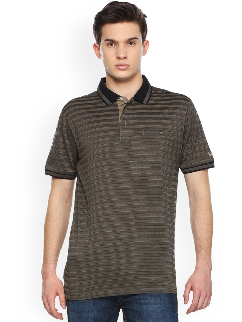 

Allen Solly Men Olive Green & Grey Striped Polo Collar T-shirt