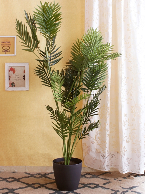 

Fourwalls Green Artificial Areca Plant Without Pot