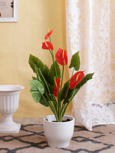 

Fourwalls Green & Red Artificial Anthurium Plant without Pot