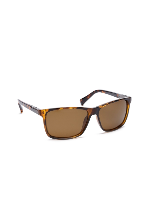 

Lee Cooper Unisex Rectangle Sunglasses LC9149ENB, Brown