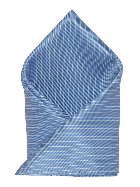 

Alvaro Castagnino Men's Blue Striped Pocket Square