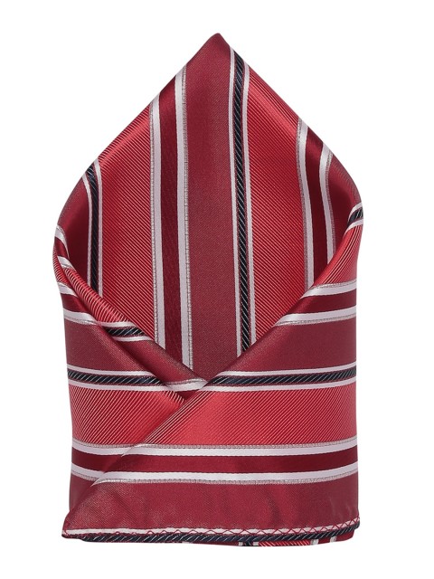 

Alvaro Castagnino Men's Red & Multi Striped Pocket Square