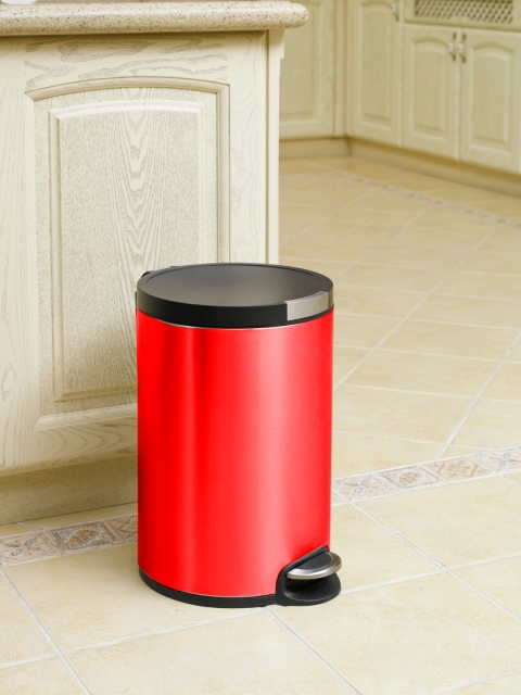 

OBSESSIONS Red Solid Stainless Steel Step Bin