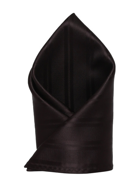 

Alvaro Castagnino Men Brown Woven Design Pocket Square