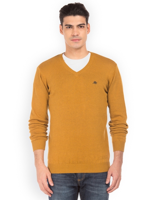 

Aeropostale Men Brown Solid Pullover