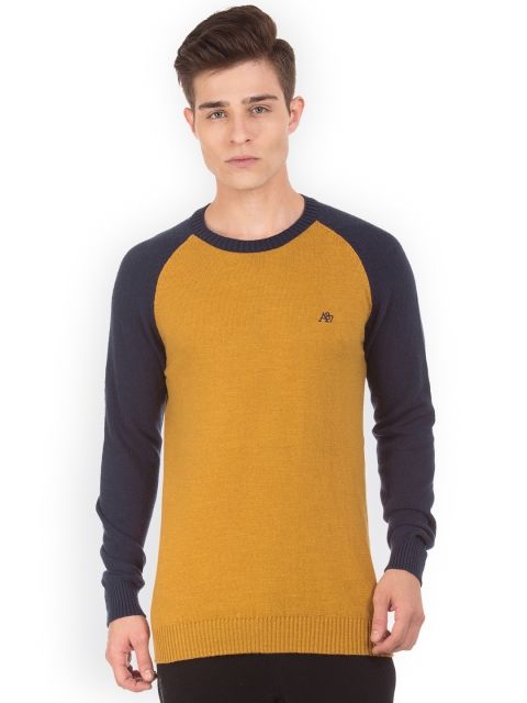 

Aeropostale Men Brown & Blue Colourblocked Pullover
