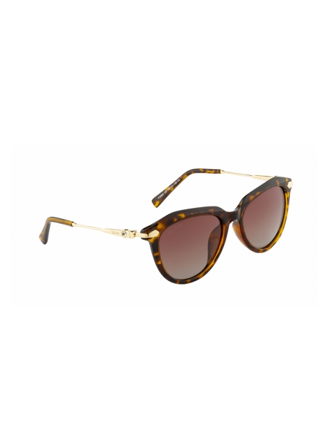 

Ted Smith Women Oval Sunglasses TS-P0805_C3, Brown