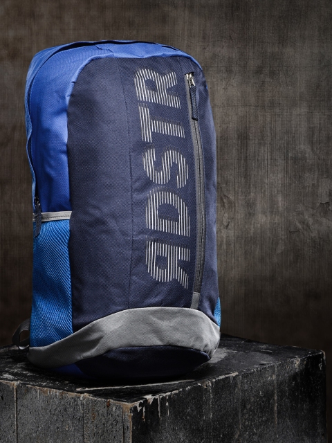 

Roadster Women Navy Blue Brand Logo Backpack