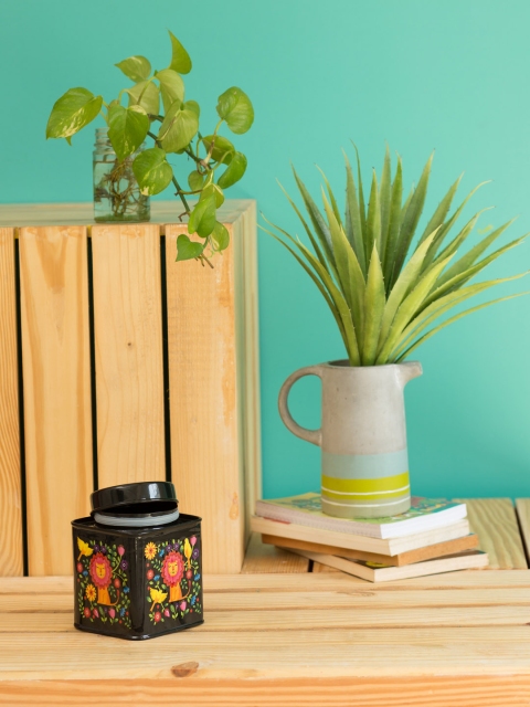 

Chumbak Black Lion In A Garden Storage Tin, 300 ml