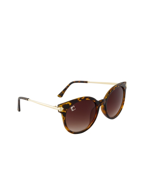 

Clark N Palmer Women Cateye Sunglasses CNP-1276-C2, Brown
