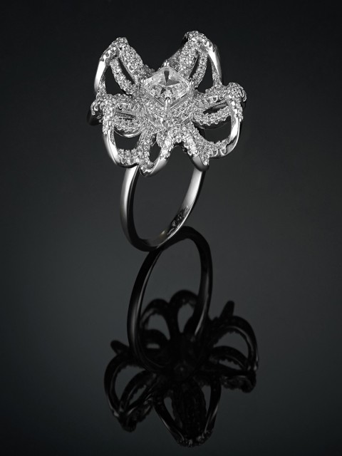 

Shaze Women Silver-Toned Cubic Zirconia Studded Ring